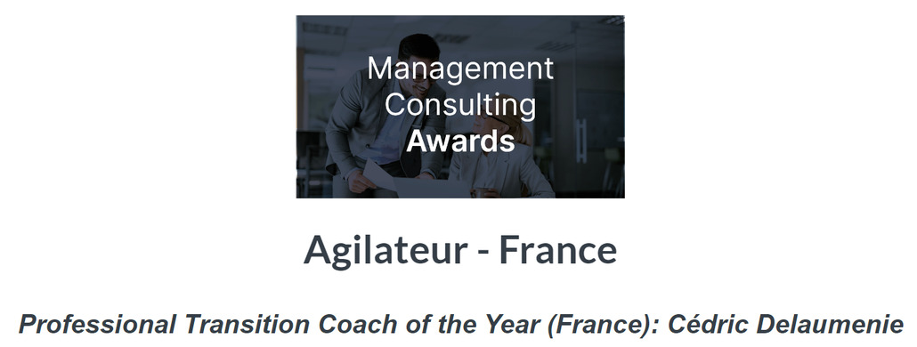 Management Consulting Awards 2022