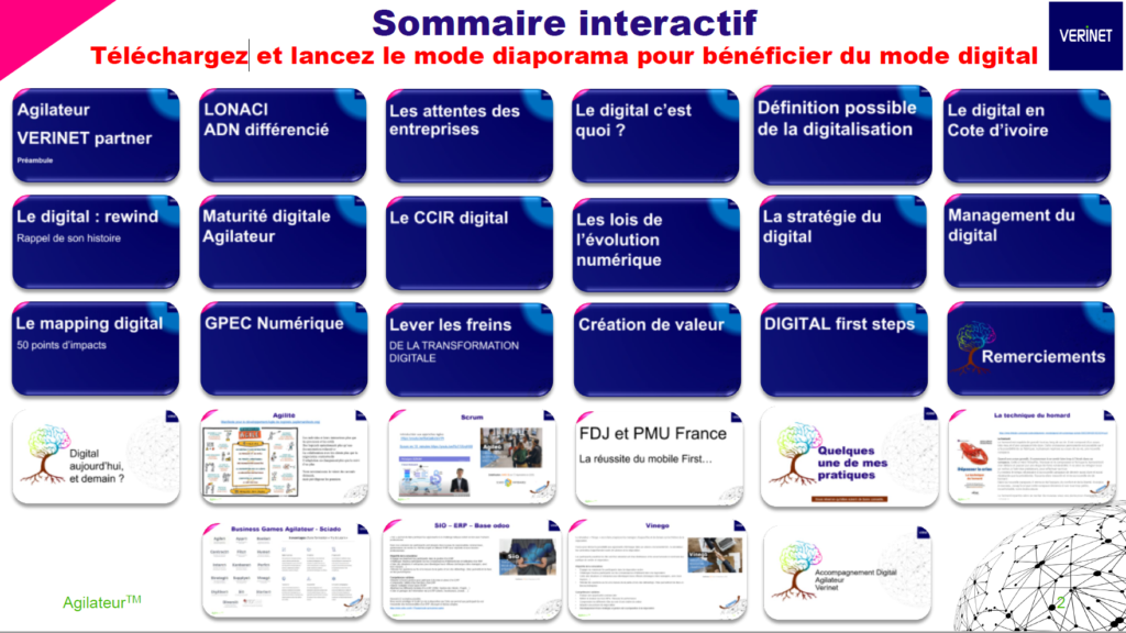 sommaire du séminaire CODIR