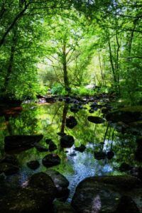 rivière du limousin