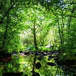 rivière du limousin