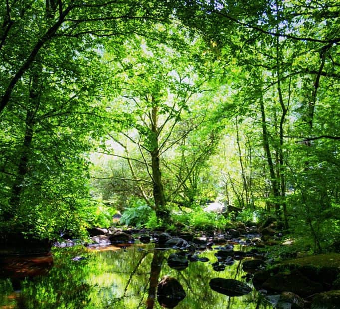 rivière du limousin