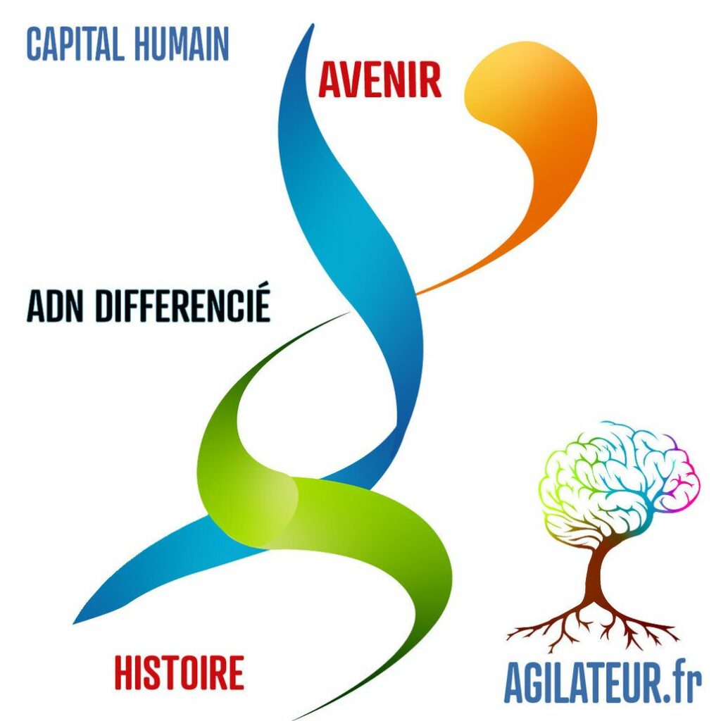 agile; agilité; action;