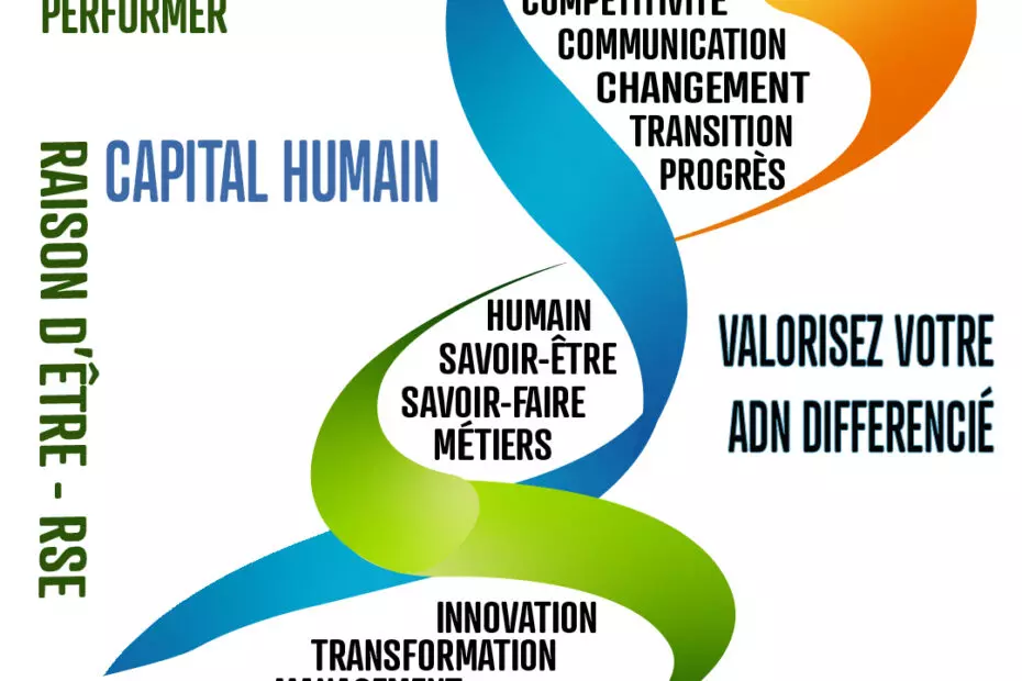 ADN différencié Agile