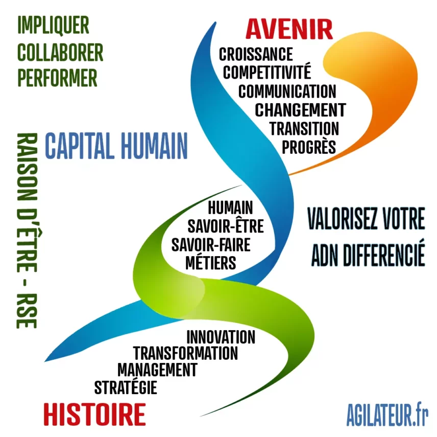 Agilateur : L’agilité en réponse aux problématiques des Business et RH des entreprises