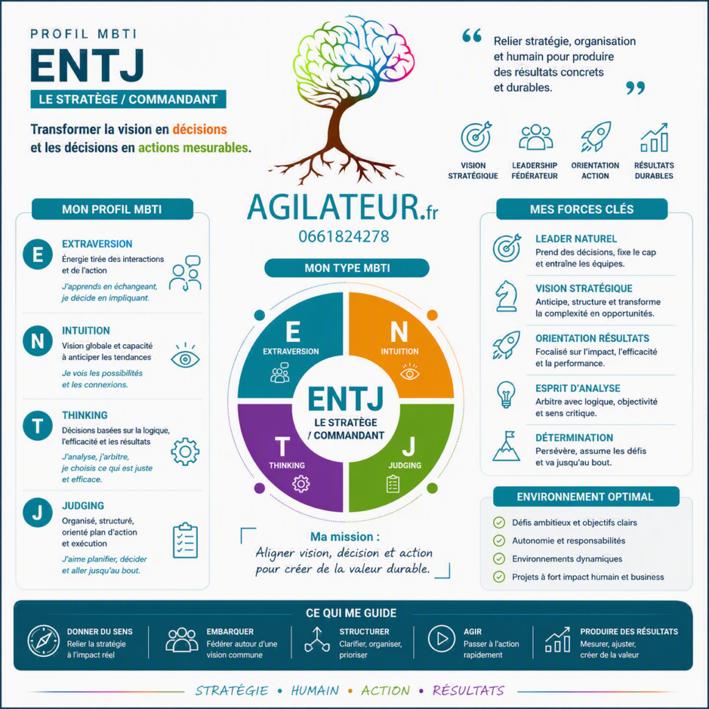 mtbi agilateur.fr cedric delaumenie