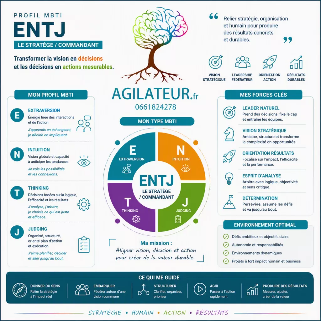 mtbi agilateur.fr cedric delaumenie
