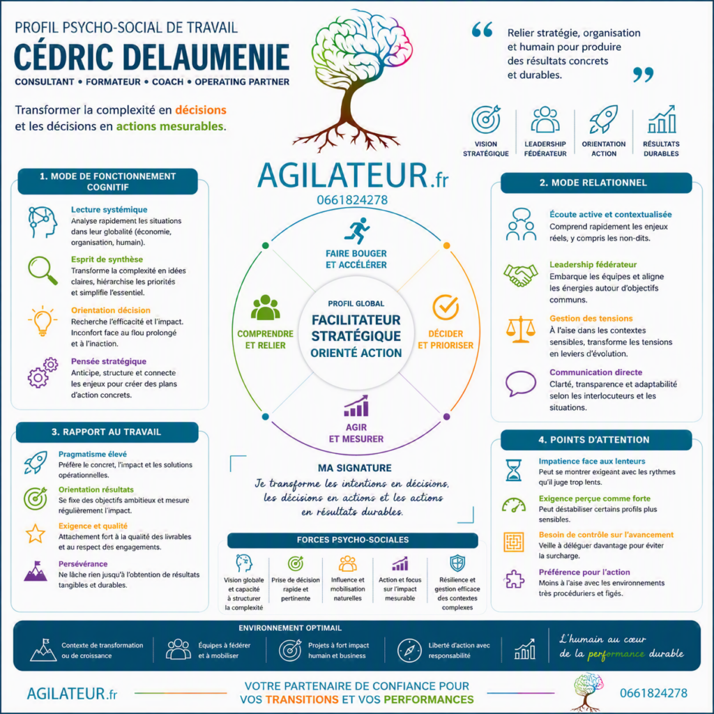 profil pscho social agilateur.fr cedric delaumenie